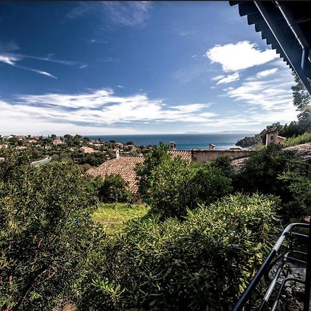 Petite Maison De Vacance Vue Mer Le Lavandou Ngoại thất bức ảnh
